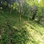 Saraj Heights House סראייבו