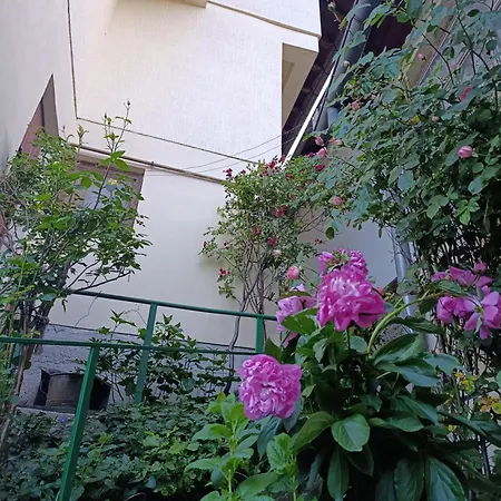 Saraj Heights House דירה