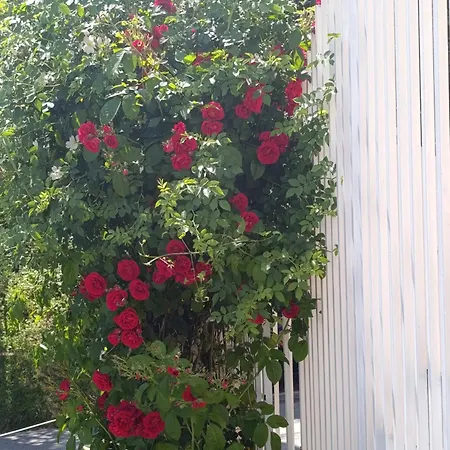 Saraj Heights House * סראייבו