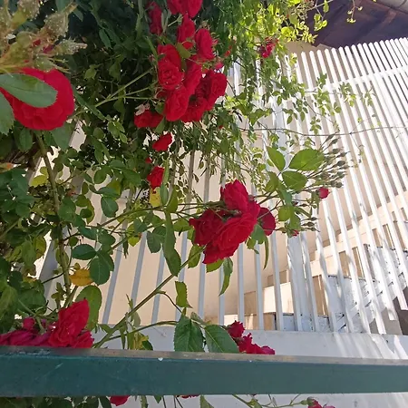 Saraj Heights House * سراييفو