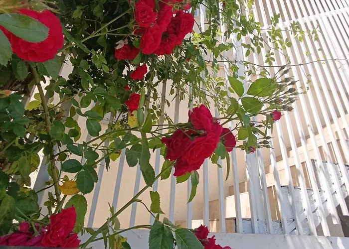 Saraj Heights House * سراييفو